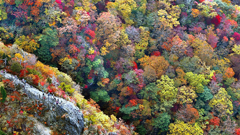 Warna-warni musim gugur hiasi deretan pegunungan di Odaigahara, Jepang