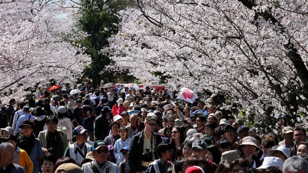 Jepang akan mengincar jumlah 20 juta wisatawan asing sebelum tahun 2020
