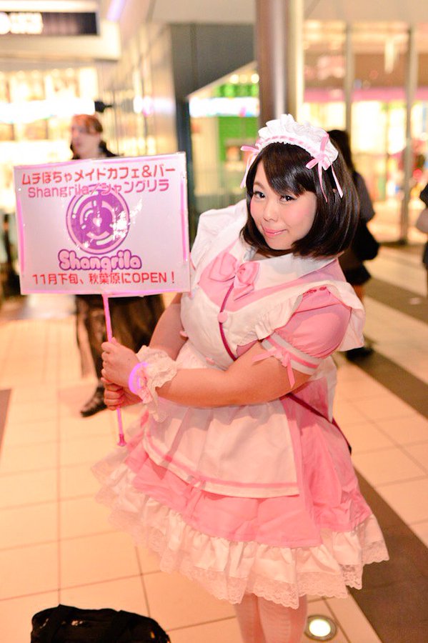 Shangrila: Maid Cafe dengan Staf Gadis-Gadis Chubby Dibuka di Akihabara