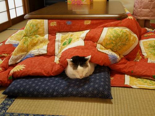 Tempat tidur penemuan Jepang yang mengagumkan ini akan membuat kalian malas bangun