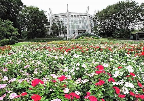 Inilah 6 taman bunga paling indah yang ada di Saitama, Jepang