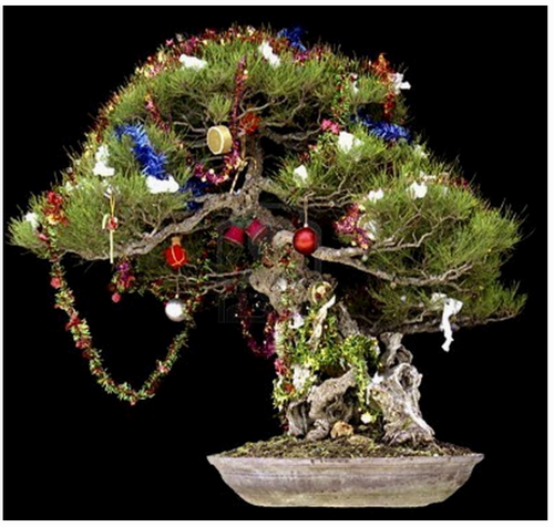 Inilah aneka pohon bonsai bertema natal yang unik tapi tetap menawan