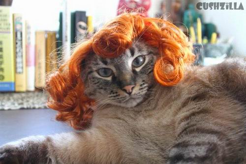 Kawaii! Perusahaan Jepang memproduksi wig & kostum untuk kucing & anjing! (9)