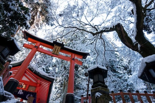 Kuil Daigo: Keindahan Kyoto yang Tersembunyi di Bawah Selimut Salju