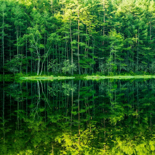 Mishaka Pond di Nagano yang Seperti Cermin Ini Banyak Menjadi Inspirasi para Pencinta Seni