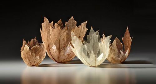 Sugoi! Seniman Jepang ciptakan mangkuk-mangkuk indah dari kerangka daun! (6)