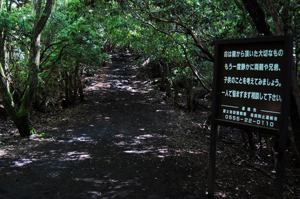Keindahan Tersembunyi di Balik Muramnya Aokigahara