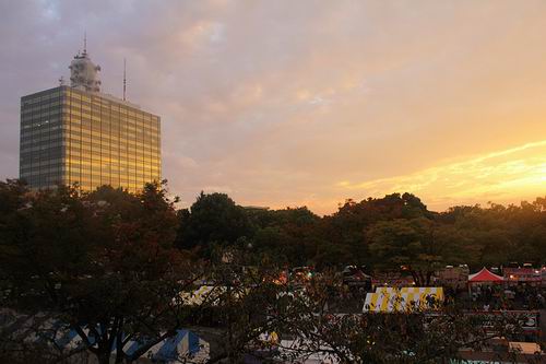 [EVENT COVERAGE] Japanese – Indonesian Friendship Festival 2015 in Yoyogi Park, Tokyo (36)