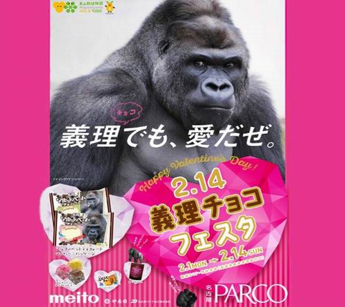 Ganteng-ganteng gorila! Shabani akan mewarnai kemasan cokelat Valentine di Jepang! (1)