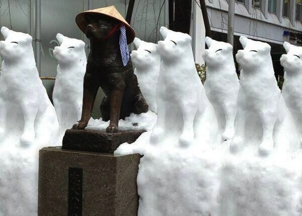 'Kegilaan' Apa Saja yang Baru Terjadi Saat Tokyo Dilanda Salju Lebat Kemarin Pagi Hachiko - May_I_bite copy