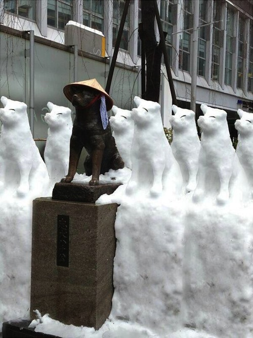 'Kegilaan' Apa Saja yang Baru Terjadi Saat Tokyo Dilanda Salju Lebat Kemarin Pagi Hachiko - May_I_bite