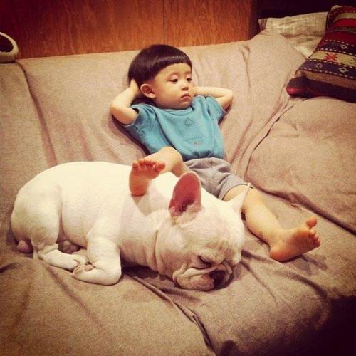 Persahabatan antara anak dari Jepang dengan anjing bulldog ini mengharukan dan menggemaskan (1)