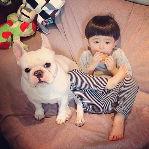 Persahabatan antara anak dari Jepang dengan anjing bulldog ini mengharukan dan menggemaskan (4)