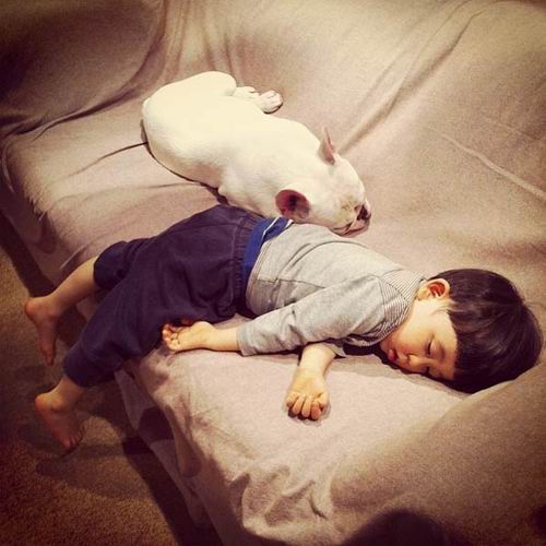 Persahabatan antara anak dari Jepang dengan anjing bulldog ini mengharukan dan menggemaskan (6)