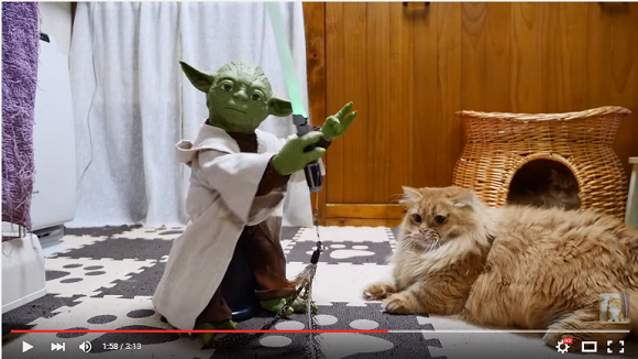 The Force Doesn't Awaken- Pertarungan Yoda Dengan Anjing & Kucing-Kucing Munchkin