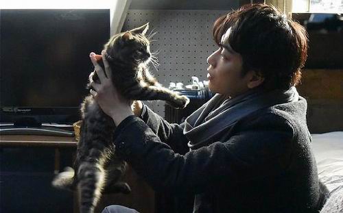 Trailer utama film If Cats Disappeared From the World yang dibintangi Takeru Sato telah dirilis (2)