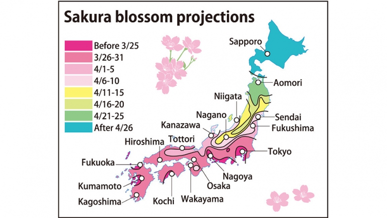 Jadwal perkiraan mekarnya bunga sakura di Jepang telah diumumkan