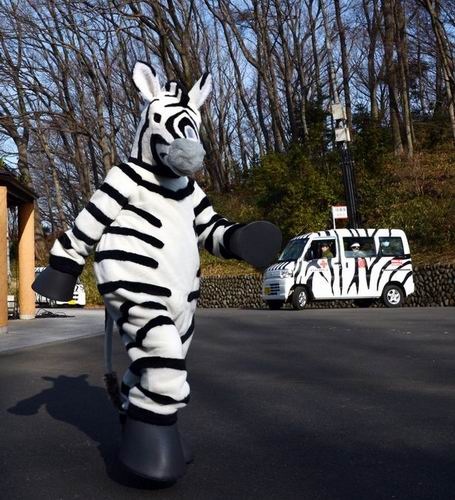 Latihan menangkap zebra yang kabur dari kebun binatang Jepang ini mengundang senyum (1)
