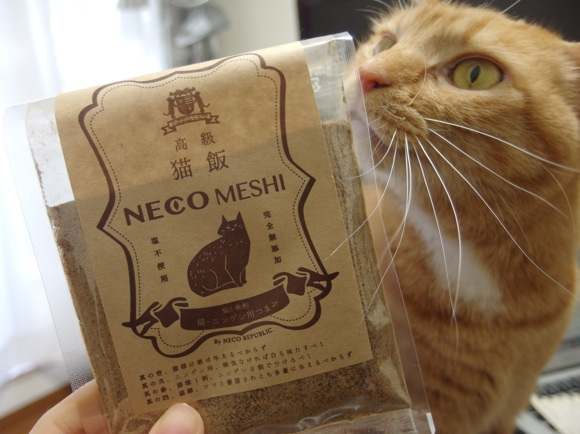 Neco Meshi, Kudapan yang Dapat Dinikmati Bersama Kucing Peliharaan