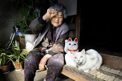 Fukumaru, Kucing Setia Dari Jepang Kini Telah Tiada (17)