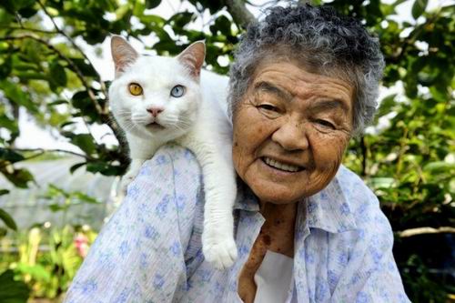 Fukumaru, Kucing Setia Dari Jepang Kini Telah Tiada (20)