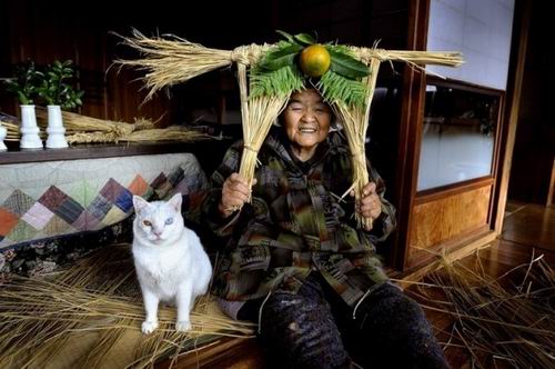 Fukumaru, Kucing Setia Dari Jepang Kini Telah Tiada (5)