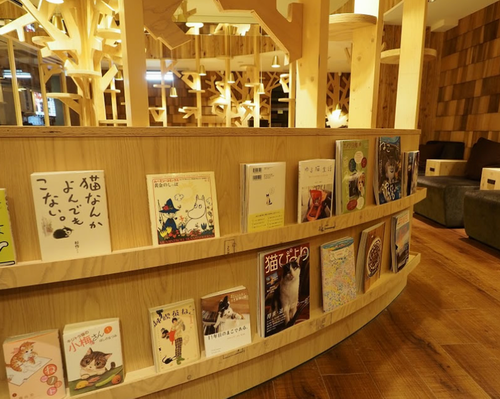 Kafe Kucing Mewah di Harajuku ini Manjakan Kucing & Pengunjungnya-ikebukuro (3)