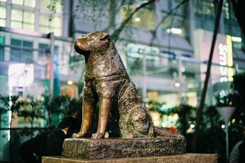 3 Hewan di Jepang yang Dibuatkan Patungnya di Tokyo