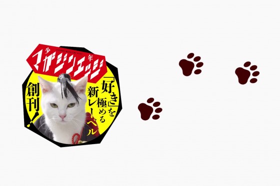 Kawaii! Kucing Jepang yang Ganteng ini Menjadi Model Majalah! (2)