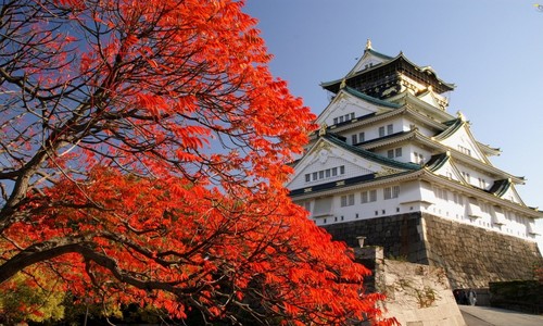 5 Kastil Jepang yang Cocok Untuk Foto Instagram dengan Musim Terbaiknya