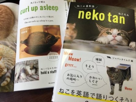 Mudahnya Belajar Bahasa Jepang dengan Buku Kucing Nekotan 1