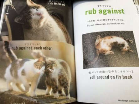Mudahnya Belajar Bahasa Jepang dengan Buku Kucing Nekotan 2