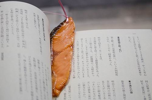 Wah, di Jepang Ada Pembatas Halaman Buku Berbentuk Makanan Yang Mirip Sungguhan! (1)