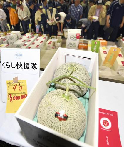 Wow! Melon Hokkaido Dilelang Dengan Harga 3 Juta Yen!