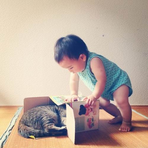 Kucing Jepang Ini Menjadi Sahabat Terbaik Untuk Anak-anak (9)
