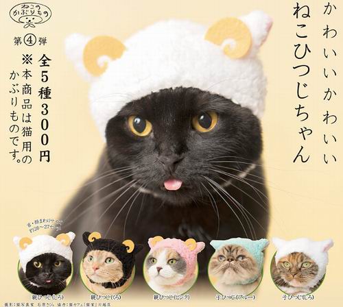 Kucing Peliharaan di Jepang Tampil Makin Imut Dengan Kostum Ini