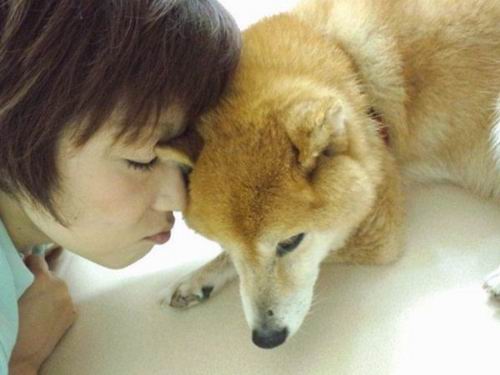 Wah, Di Jepang Ada Panti Jompo Untuk Anjing Peliharaan!