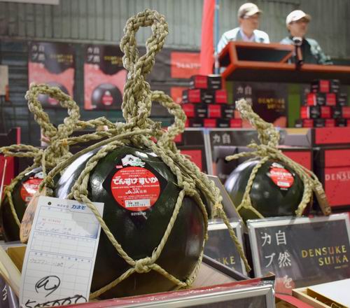 Wow! Semangka Hitam Jepang Ini Dilelang Seharga 500.000 Yen!