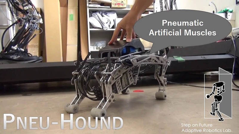 Ilmuwan Jepang Ciptakan Robot Anjing Chihuahua