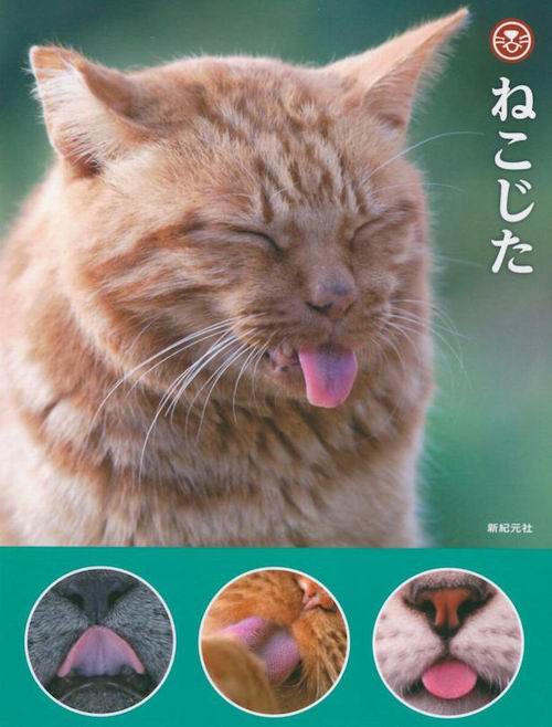 Nekojita, Buku Unik Untuk Para Penggemar Kucing