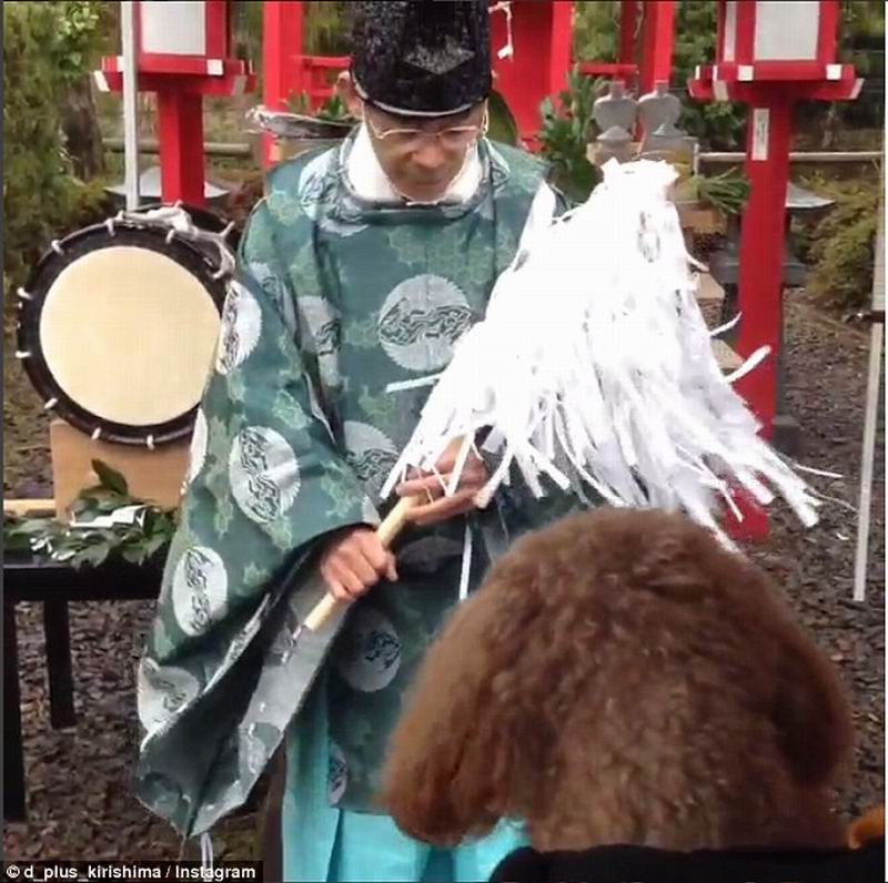 Tempat Spa di Jepang Sediakan Jasa Pengusiran Roh Jahat Pada Anjing Peliharaan (1)