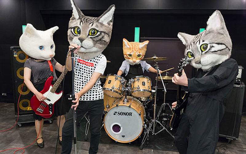 Topeng Kucing Raksasa Dari Jepang Kini Dijual Untuk Umum (6)