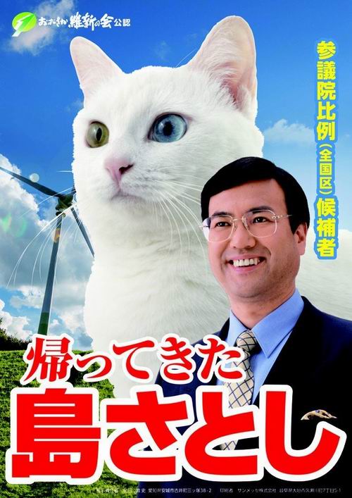 Unik, Politikus Jepang Berkampanye Dengan Seekor Kucing!