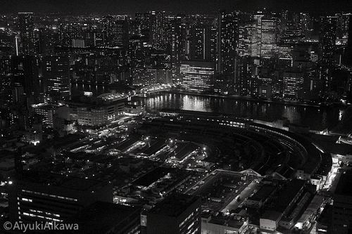 tokyo night view (12)