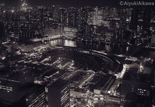 tokyo night view (2)
