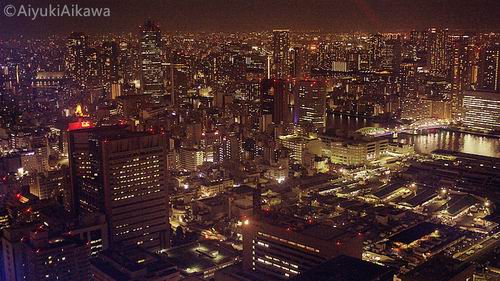 tokyo night view (4)