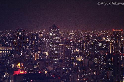 tokyo night view (5)