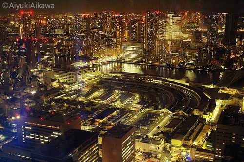 tokyo night view (6)