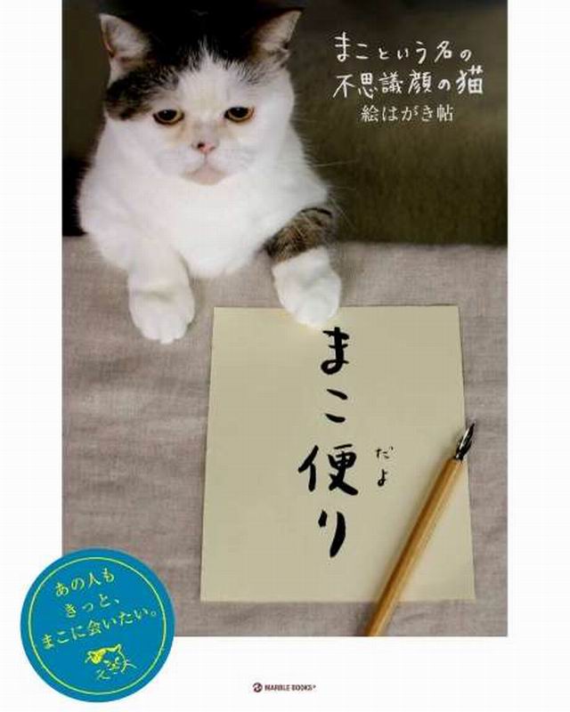 Inilah Mako, Kucing Jepang Berwajah Seperti Sedang Merasa Sedih