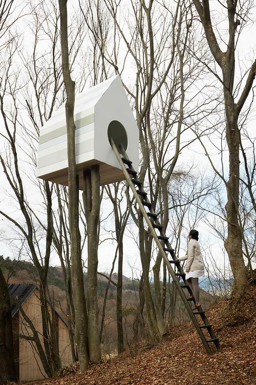 Rumah Pohon Di Jepang Ini Dibuat Untuk Burung dan Manusia (1)